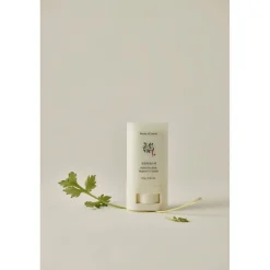 Hot SPF50+ Matte Sunstick Zonnebrand|Korean Skincare