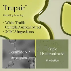 Hot Mild Skin Balancing Vegan Cream Korean Skincare|Nachtcreme