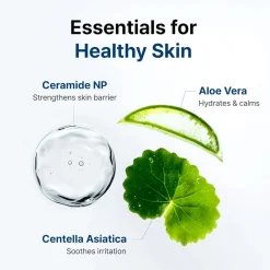 Discount Rich Moist Soothing Cream Korean Skincare|Nachtcreme