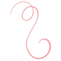 Discount Line N' Stain! 02 Must Have Brown Tattoo Lip Liner Lipmake-Up