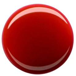 Clearance What a Tint! 01 Lip & Cheek Tint Blush|Lipmake-Up