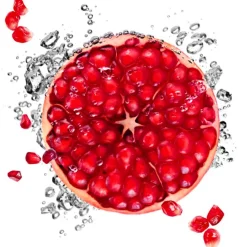 Outlet Garnier SkinActive Hydra Bomb Tissuemasker Gezichtsmaskers