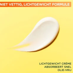 Outlet Garnier SkinActive Vitamine C Glow Booster Serum Cream Serum|Dagcreme