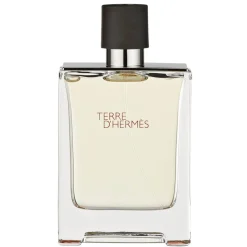 Clearance Hermès Terre d'Hermès Eau de Toilette Heren Herenparfum