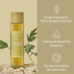 Best Mugwort Essence Korean Skincare|Essence