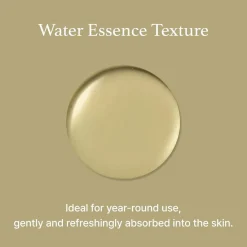 Best Mugwort Essence Korean Skincare|Essence