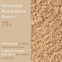 Discount Rice Serum Korean Skincare|Serum