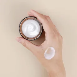 All In One Snail Repair Cream Korean Skincare|Nachtcreme