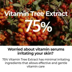 Sale No.5 Goodbye Blemish Serum Korean Skincare|Serum