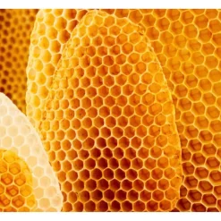 Clearance Cold Cream Gezichtscrème Dagcreme